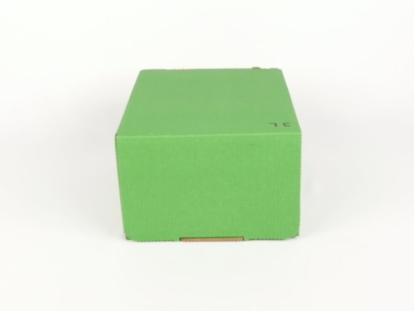 Karton Bag in Box 3 Liter grün, Saftkarton, Faltkarton, Apfelsaft-Karton, Saftschachtel, Schachtel. - 3